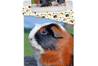 Dekbedovertrek, Cavia