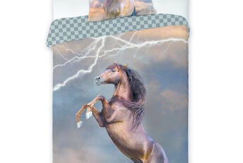 Dekbedovertrek Lightning