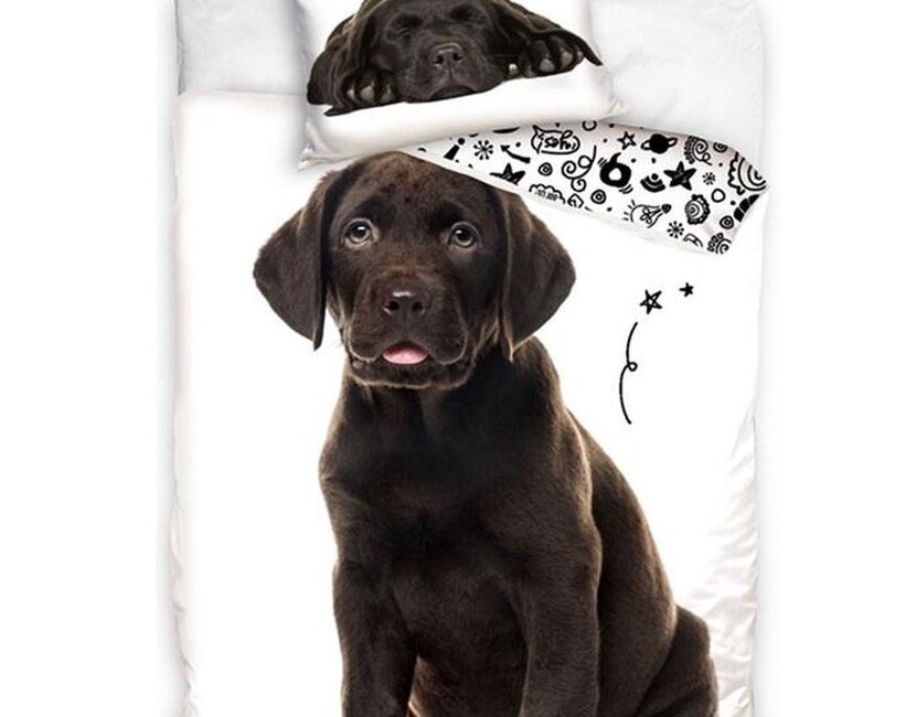 Dekbedovertrek, Labrador