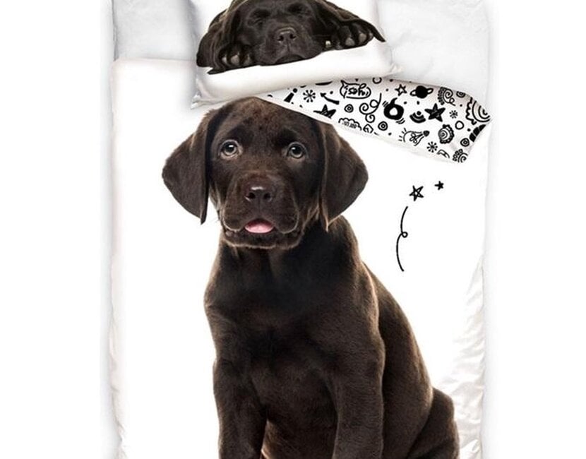 In Home Dekbedovertrek, Labrador - Eenpersoons - 140 x 200 + 60 x 70 cm - Katoen
