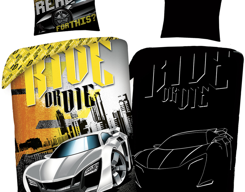 The Fast and the Furious Dekbedovertrek Ride or Die - Glow in the Dark - 140 x 200 + 70 x 90 cm - Katoen