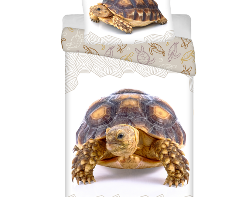Animal Pictures Dekbedovertrek, Schildpad - Eenpersoons - 140 x 200 + 70 x 90 cm - Katoen