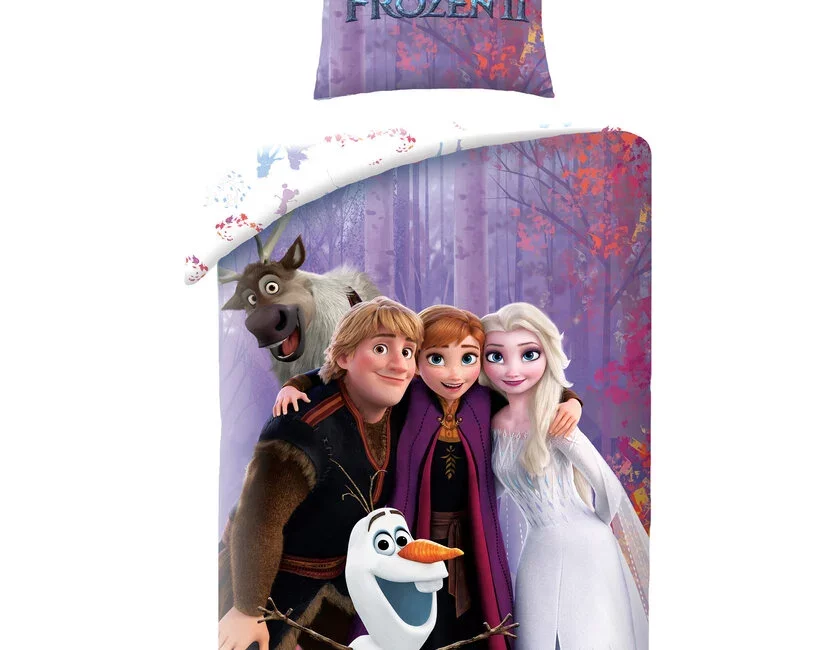 Disney Frozen Dekbedovertrek, Friends - Eenpersoons - 140 - 200 cm / 70 x 90 cm - Katoen