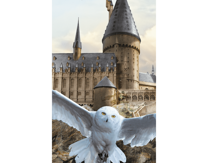 Harry Potter Strandlaken Hedwig - 70 x 140 cm - Katoen