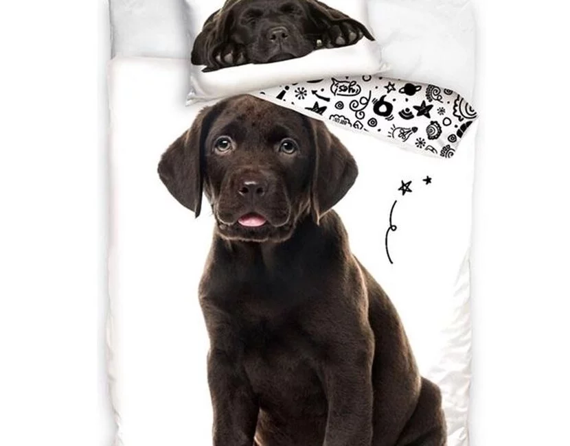 In Home Dekbedovertrek, Labrador - Eenpersoons - 140 x 200 + 60 x 70 cm - Katoen