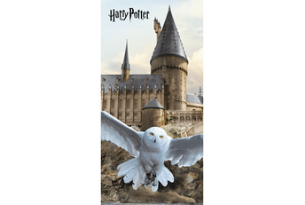 Harry Potter Strandlaken Hedwig - Katoen - Gratis bezorgd