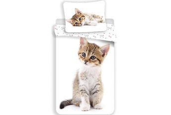 Animal Pictures Kitten Dekbedovertrek - Wit - Gratis bezorgd