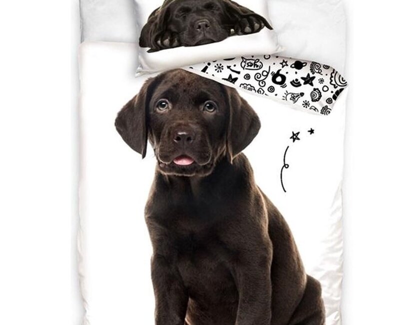 In Home Dekbedovertrek, Labrador - Eenpersoons - 140 x 200 + 60 x 70 cm - Katoen