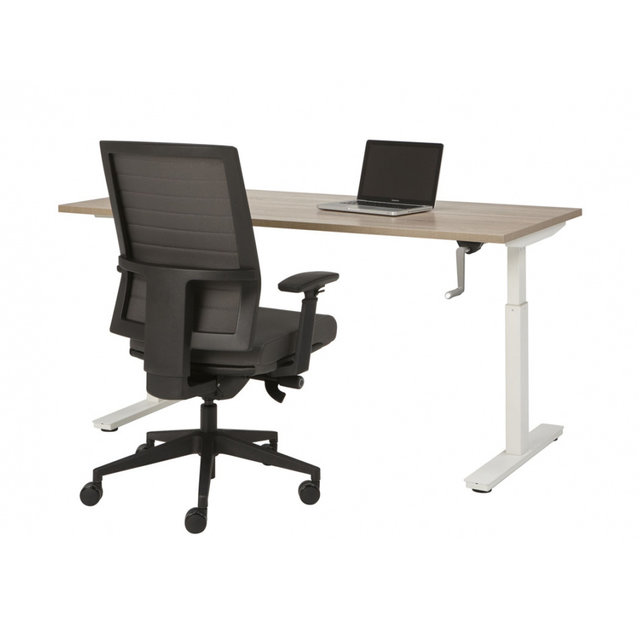 Bureau Dex | T-Poot Slinger Verstelbaar | 120x80 cm