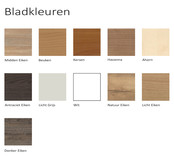 Bureau Dex | T-Poot Slinger Verstelbaar | 120x80 cm