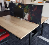 Akoestische Tussenwand No-Noise 200 cm Breed