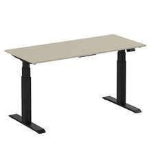 Elektrisch Zit-Sta Bureau Ergo Premium