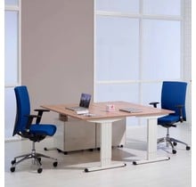 Verstelbaar Bureau Vario-Line - Diverse Kleuren