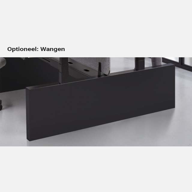 Duo Zit Sta Bureau Ergo - Elektrisch Verstelbaar