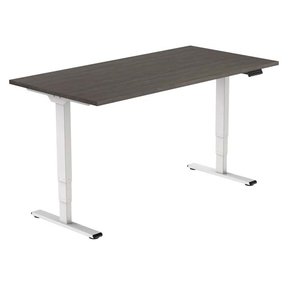 Elektrisch Zit Sta Bureau Alpha | 2-Motorig - NEN 527