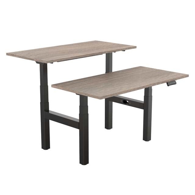 Duo Zit Sta Bureau Work Together