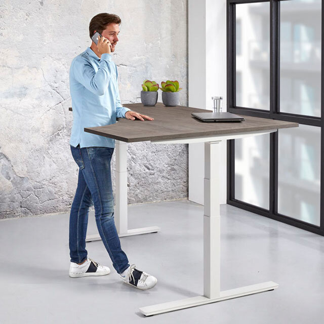 Zit Sta Wingbureau ErgoRise Pro