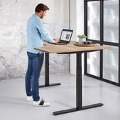 Zit-Sta Wingbureau Ergo