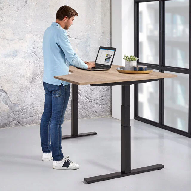 Zit-Sta Wingbureau Ergo