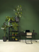 LK 02 Francesca Stoel + Armleggers Walnoot met Zwart Frame