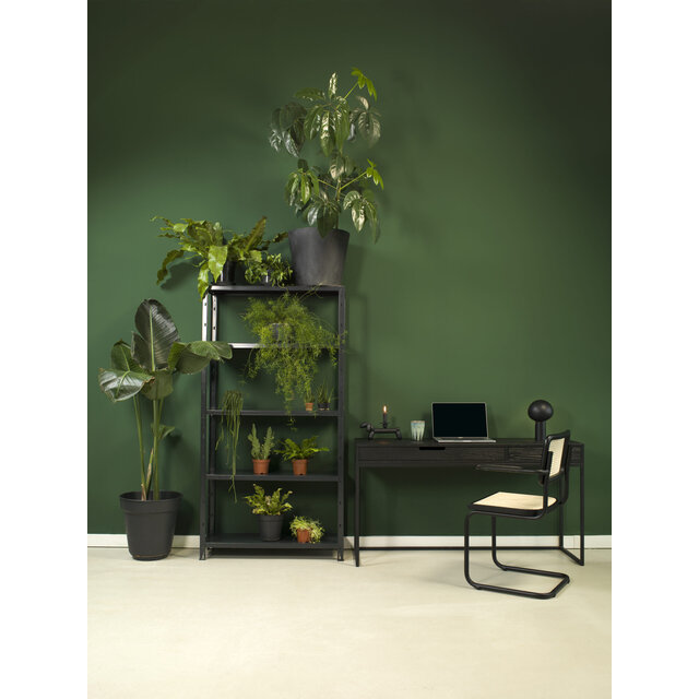 LK 03 Francesca Stoel + Armleggers Walnoot met Chroom Frame