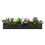 Lamers Kantoormeubelen Metalflowerbox