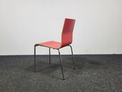 Casala Noa Stoel - Rode Houten Zitting Casala Noa Stoel - Rode Houten Zitting