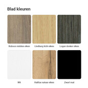 Vergadertafel Verstelbaar Deens Ovaal 240x120 cm