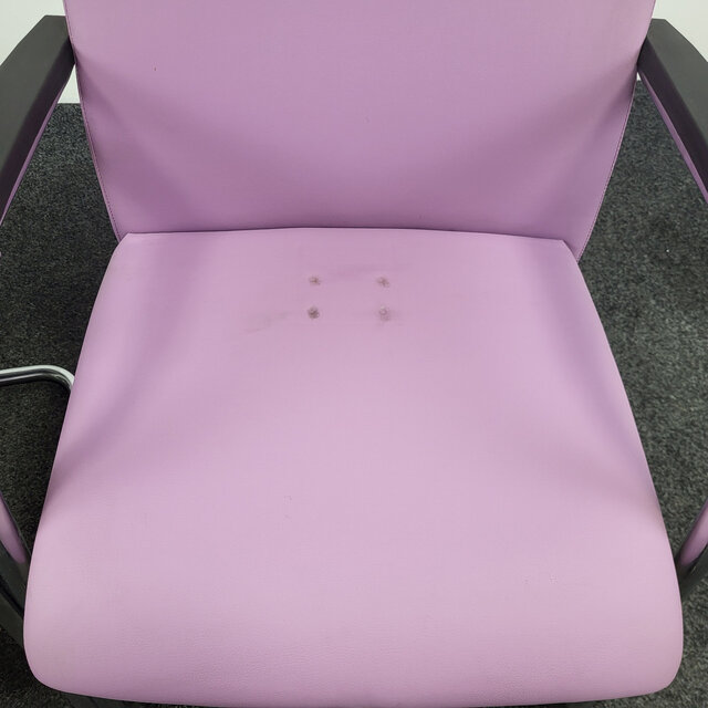 Lila Vergaderstoel - Slede Onderstel (Set van 2)