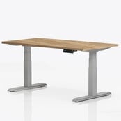Elektrisch Zit-Sta Bureau Ergo Pro Plus