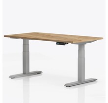 Elektrisch Zit-Sta Bureau Ergo Pro Plus