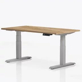 Elektrisch Zit-Sta Bureau Ergo Pro Plus