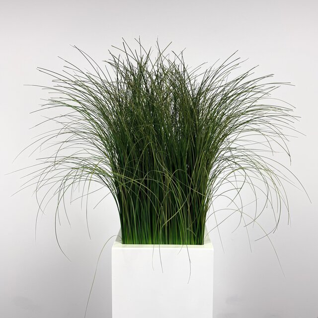 Kunstplant - 165 cm | Wit