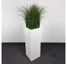 Kunstplant - 165 cm | Wit