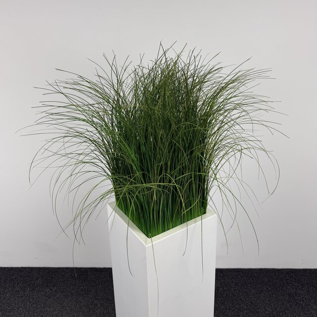 Kunstplant - 165 cm | Wit