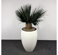 Kunstplant - 190 cm | Wit