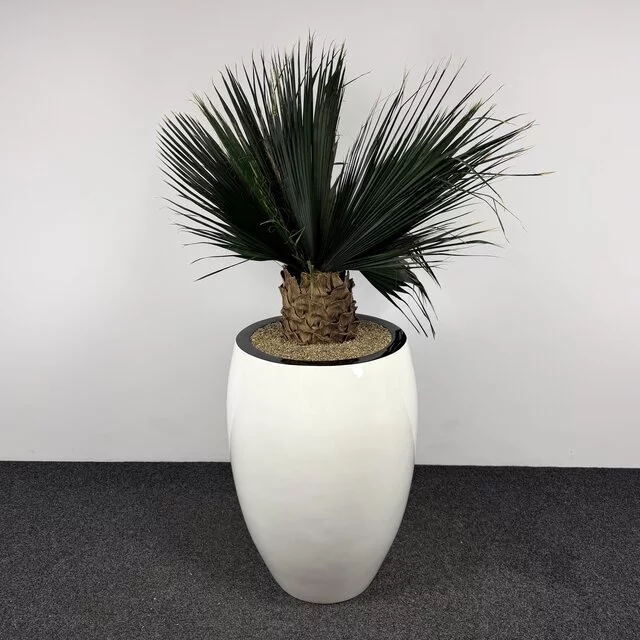 Kunstplant - 190 cm | Wit