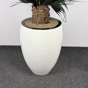 Kunstplant - 190 cm | Wit