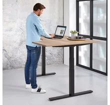 Zit-Sta Wingbureau Business
