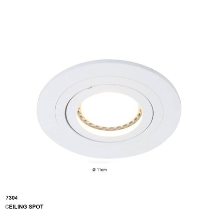 Steinhauer Moderne Inbouwspot Round rond wit