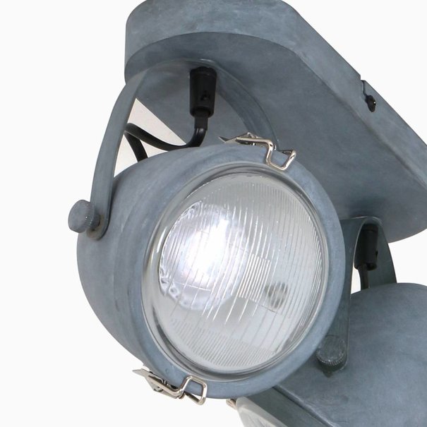 Mexlite Industriële - Opbouwspot - Grijs - 2 lichts - Dex