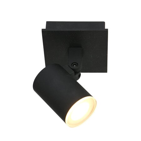Steinhauer Moderne opbouwspot Points Noirs 1-lichts IP44 zwart