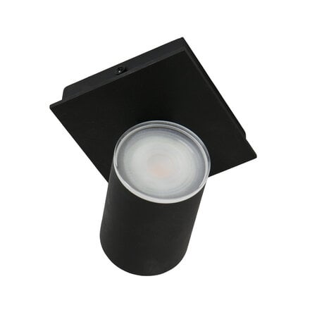 Steinhauer Moderne opbouwspot Points Noirs 1-lichts IP44 zwart