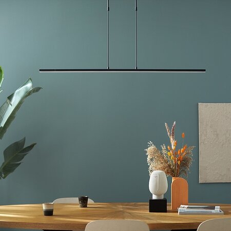 Steinhauer Moderne hanglamp Zelena 122 cm zwart