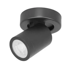 Plafondspot Oliver 1-lichts zwart IP44