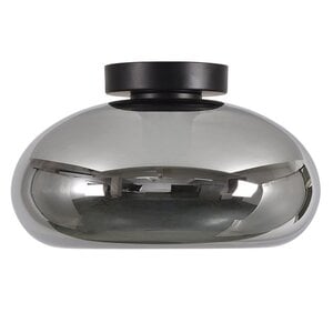 Artdelight Modern plafondlamp Paradise 1-lichts smoke glas