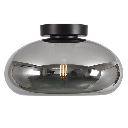 Artdelight Modern plafondlamp Paradise 1-lichts smoke glas