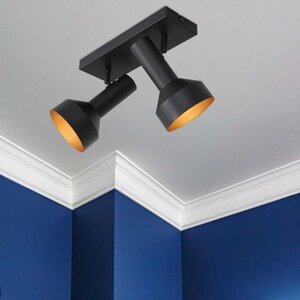 Anne Lighting Moderne opbouwspot Bundle 2-lichts zwart goud