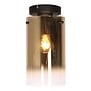 Moderne - Glazen - Plafondlamp - Goud - Glas - Ventotto
