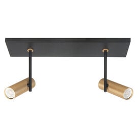 Opbouwspot Trend 2-lichts goud